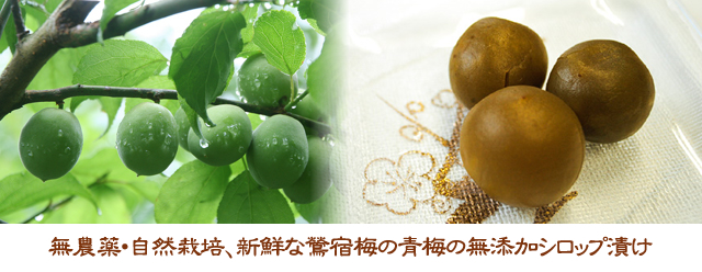 里の梅300g