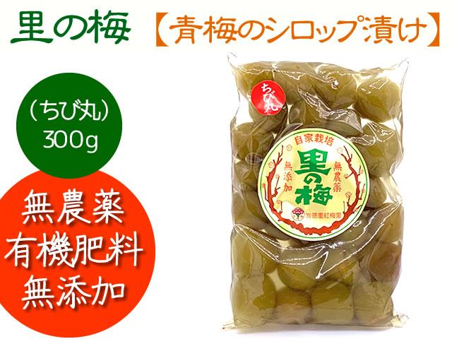 鶯宿梅特級500g