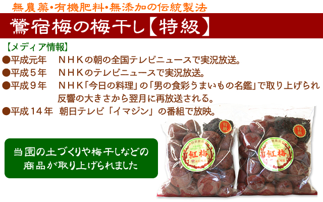 鶯宿梅特級500g