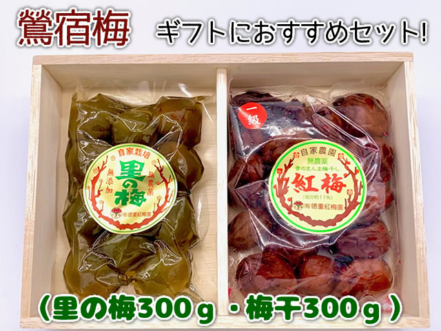 鶯宿梅特級500g