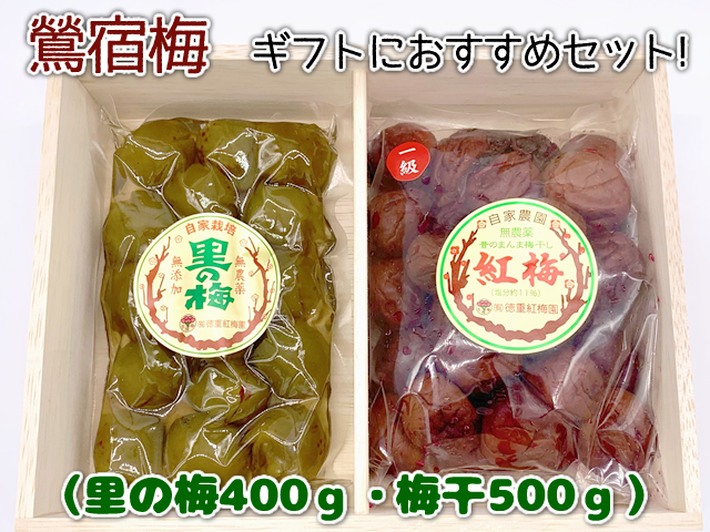 鶯宿梅特級500g
