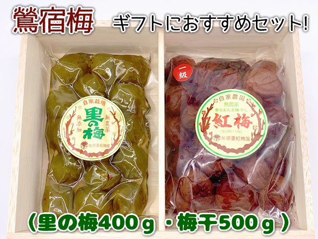 鶯宿梅特級500g