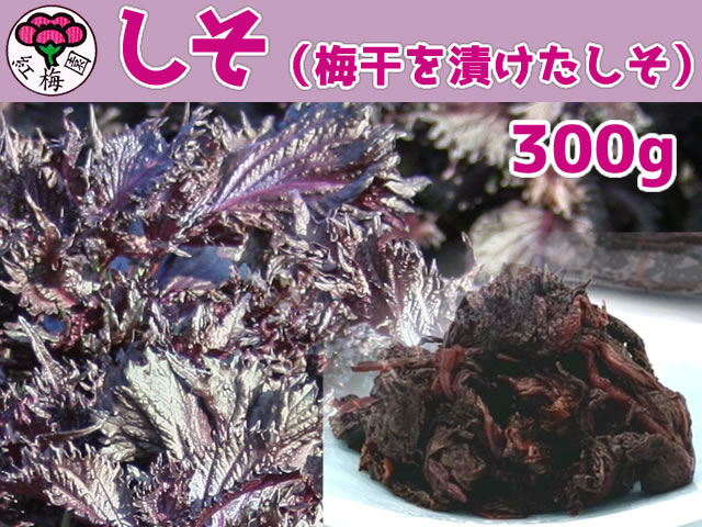 紫蘇で無添加ならしそ300g 無農薬有機肥料の徳重紅梅園